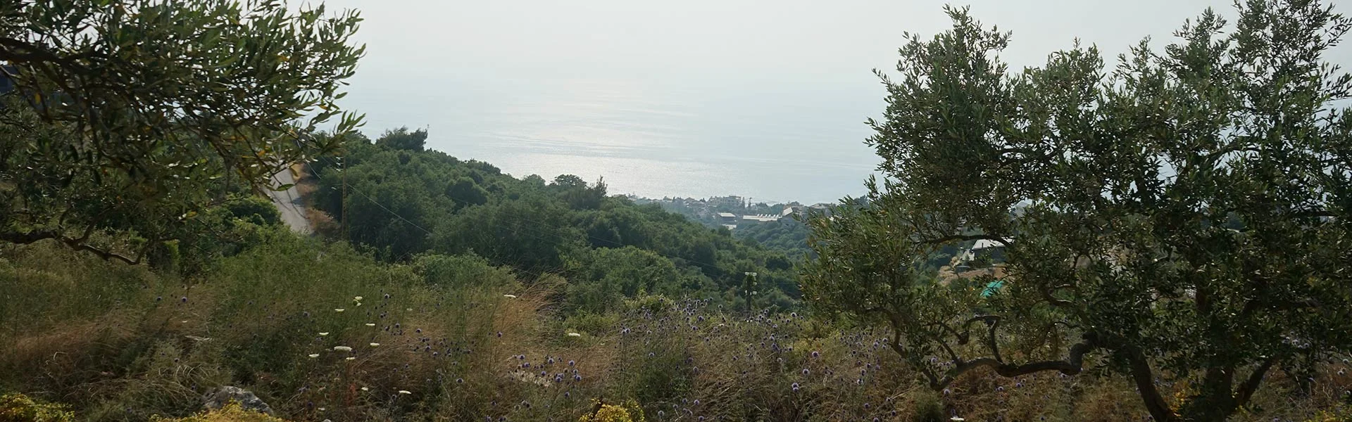 Rachana Museum District – “راشانا”