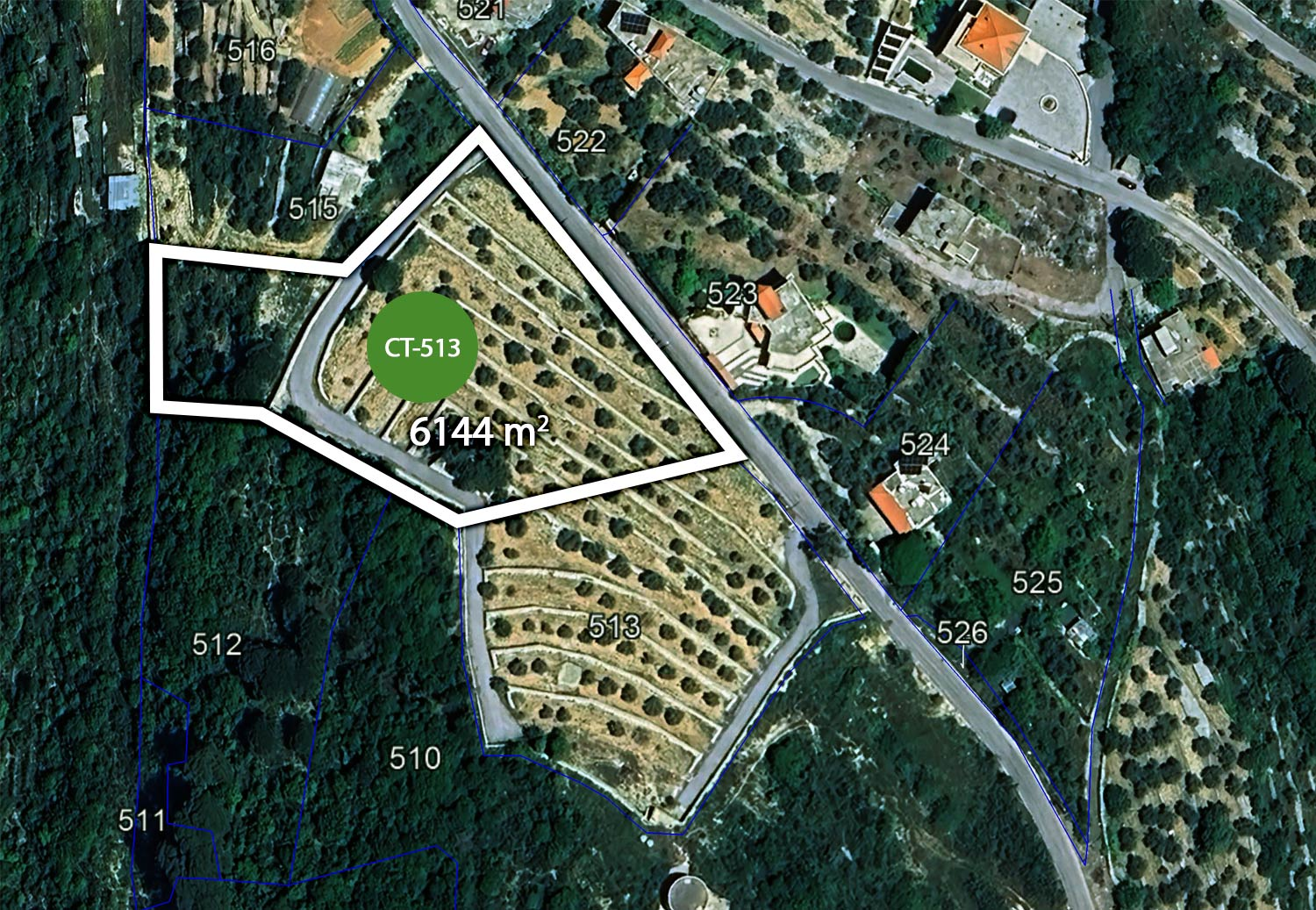 Plot CT-513