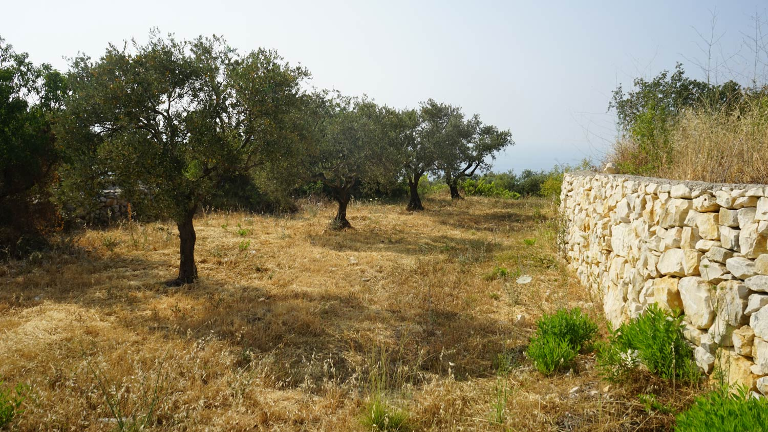 Plot RM-161 - Property Image