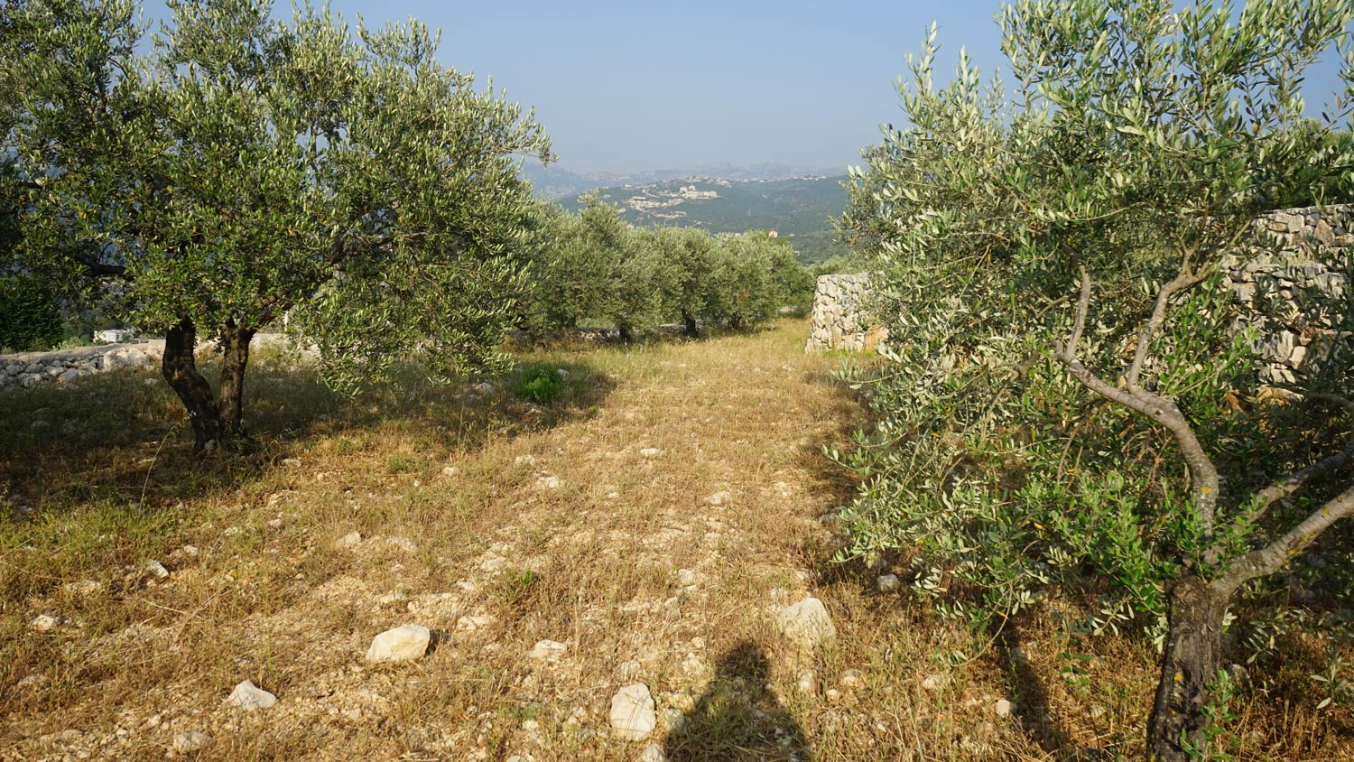 Plot CT-514 - Property Image